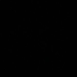 Meet your Posher, Ben